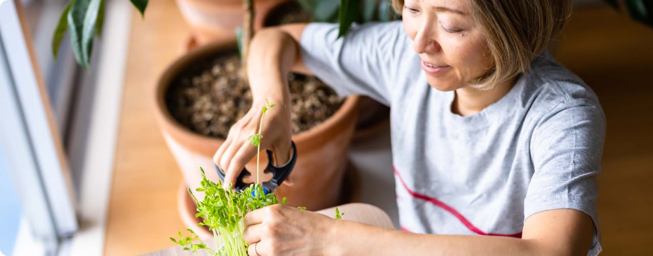 Woman pruning a plant on a window sill